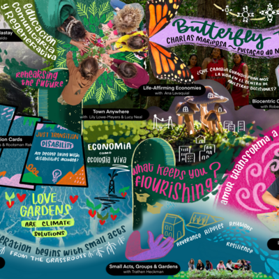 Transition_Network_Butterfly_Talk_4.24.png