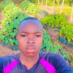 Profile picture of Alvince Omondi